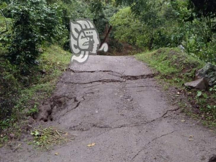 Naturaleza ‘devora’ vías de comunicación en la sierra de Misantla