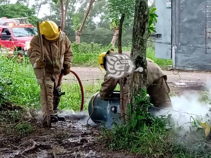 Alarma por fuga de gas en barrio de Misantla; acuden bomberos