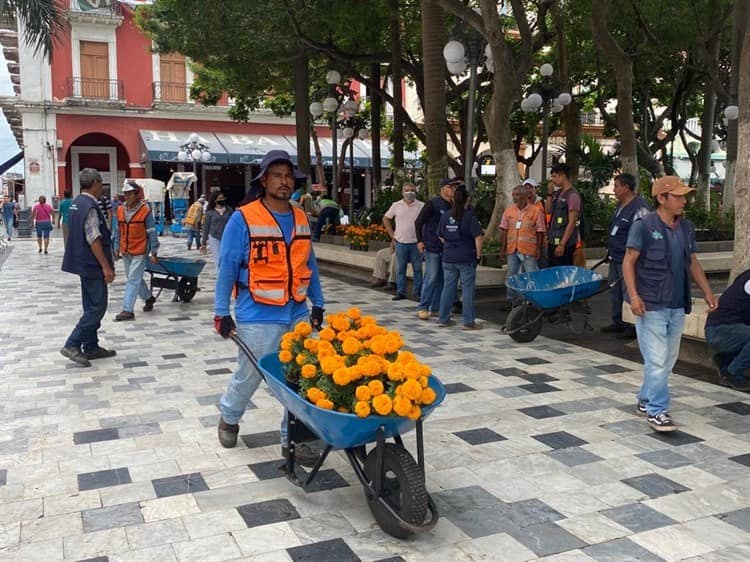 Se viste de cempasúchil el zócalo de Veracruz; adornan jardineras por Día de Todos los Santos