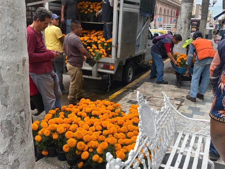 Se viste de cempasúchil el zócalo de Veracruz; adornan jardineras por Día de Todos los Santos