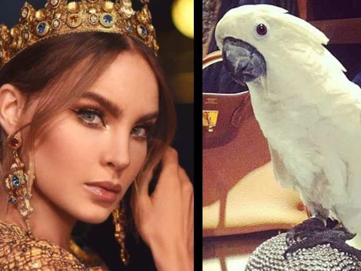 Investigan a Belinda por posesión ilegal de animales exóticos