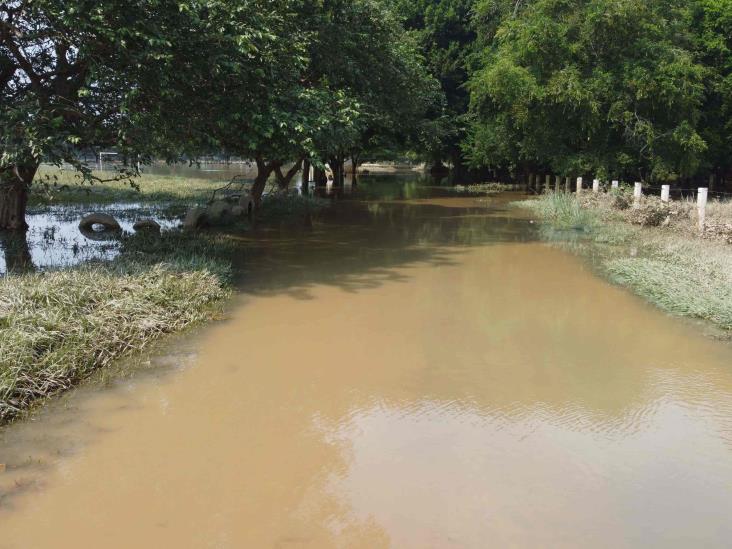 Se desborda río San Juan; el sur de Veracruz, afectado