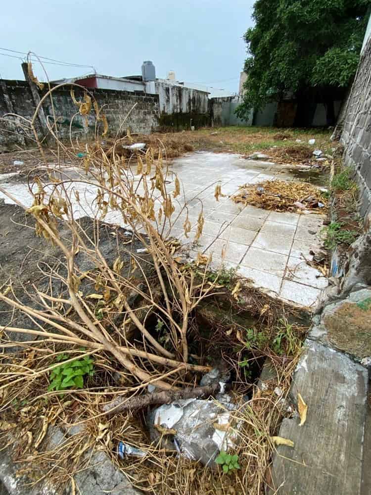 Terrenos baldíos en Boca del Río causan temor a los vecinos