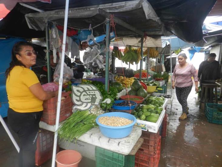 Paseo de Las Palmas, en Misantla, listo para Todos los Santos