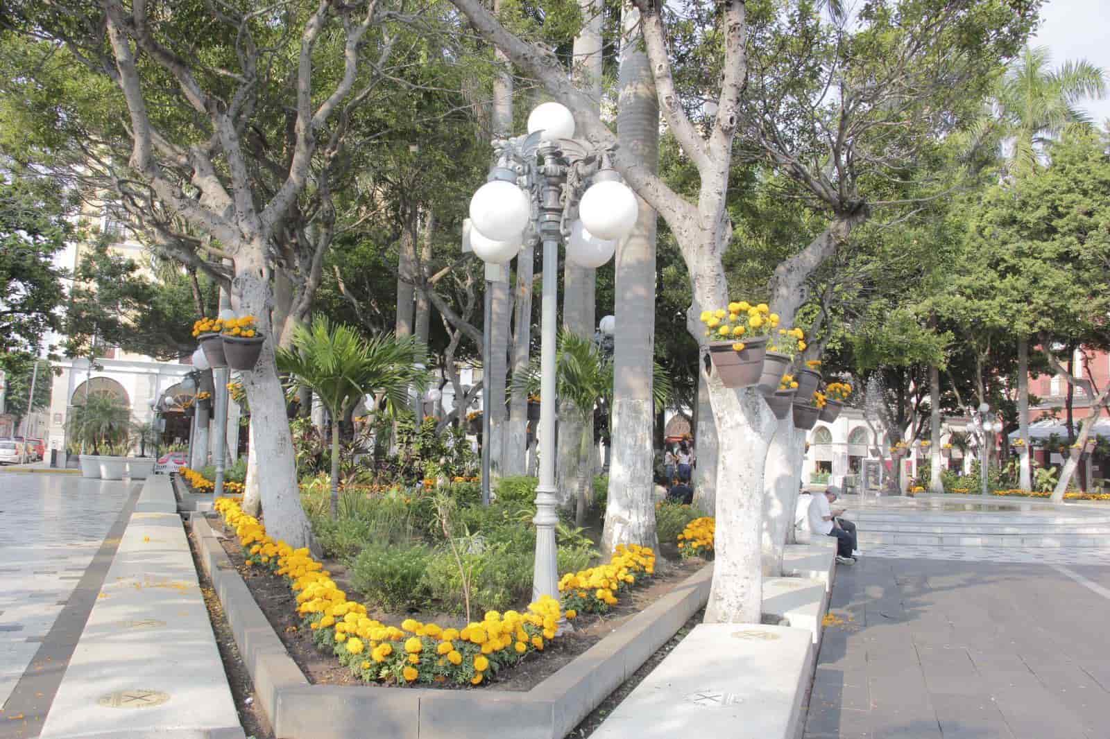 Visten de color naranja el zócalo de Veracruz con flor de cempasúchil