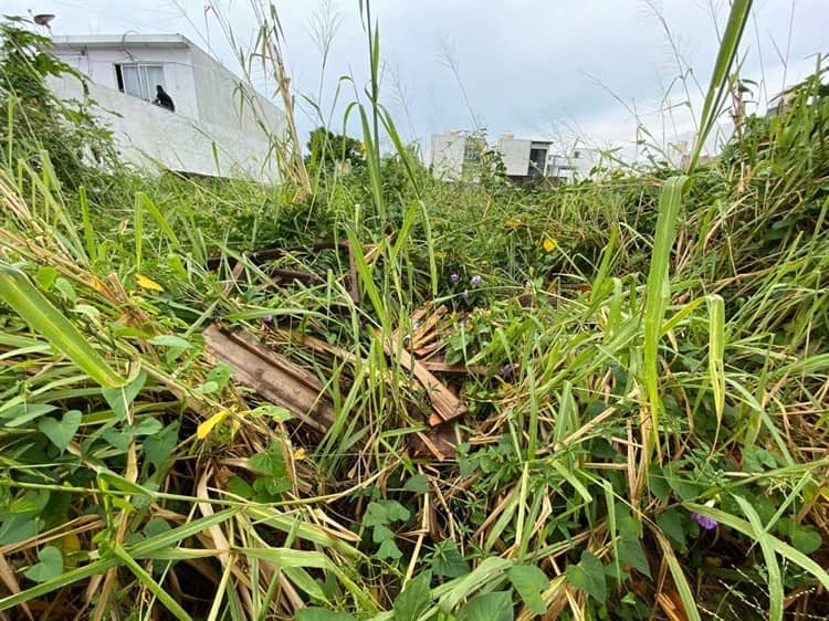 Terrenos baldíos en Boca del Río causan temor a los vecinos