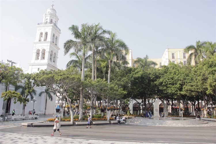 Visten de color naranja el zócalo de Veracruz con flor de cempasúchil