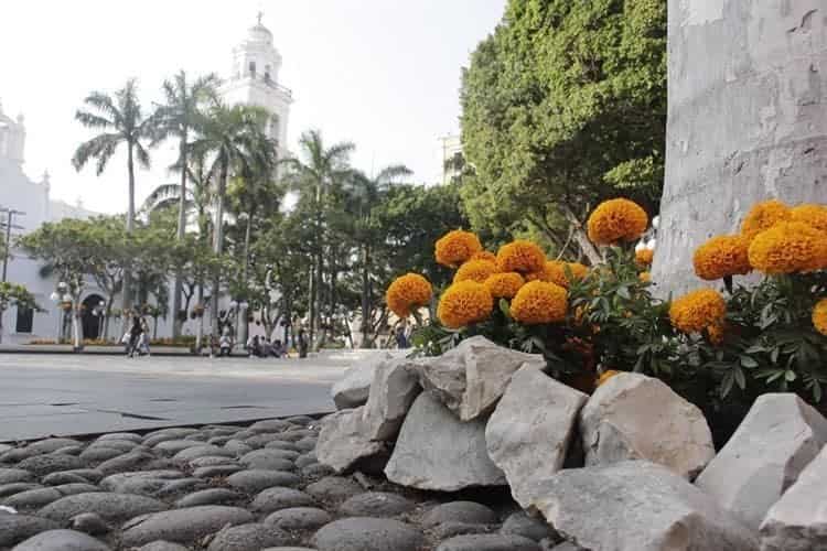 Visten de color naranja el zócalo de Veracruz con flor de cempasúchil