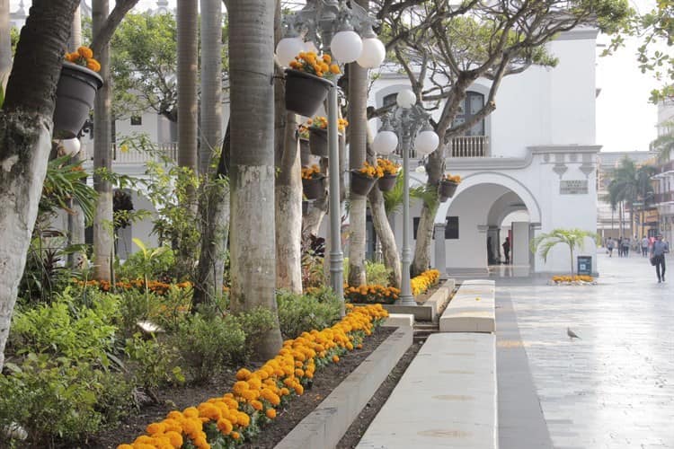 Visten de color naranja el zócalo de Veracruz con flor de cempasúchil