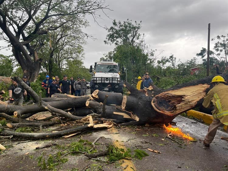 Inician recuento de daños por huracán ‘Roslyn’; Ejército activa Plan DN-III