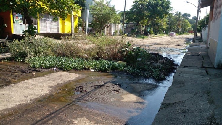 Calle General Anaya, lleva dos años sin ser reparada