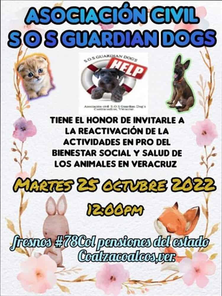 Regresa Guardian Dogs a Coatzacoalcos (+Video)