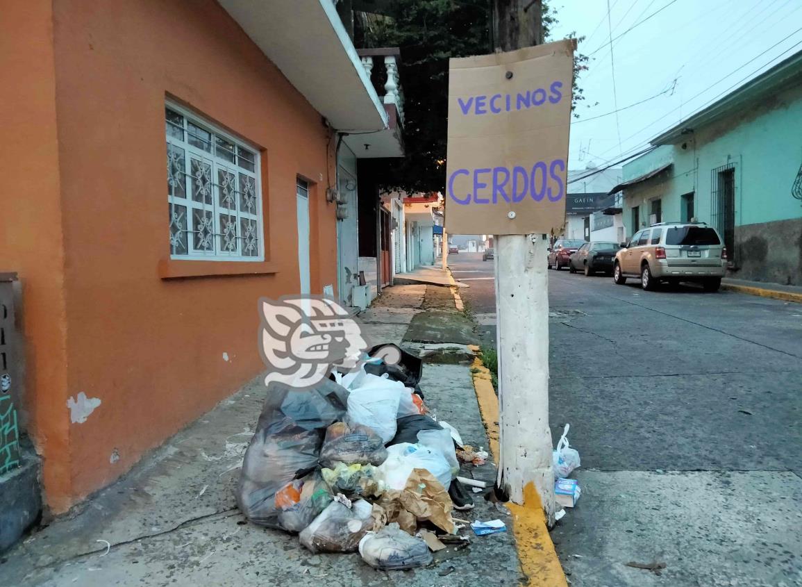 Vecinos cerdos así exhiben en Xalapa a quienes dejan basura en banquetas