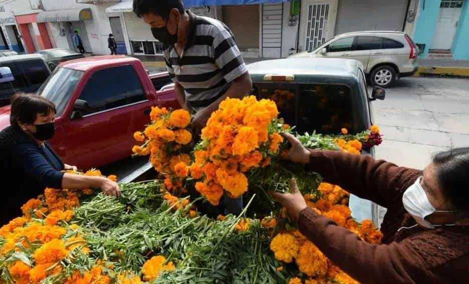 Se elevan precios de flores de cempasúchil y moco pavo en Veracruz por Todos Santos