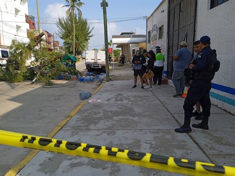 Repartidor de agua murió al ser aplastado por un árbol de pino en el viejo Malecón