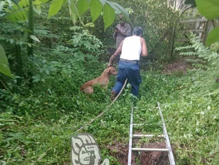 Rescatan canino que cayó a pozo artesiano, en Acayucan