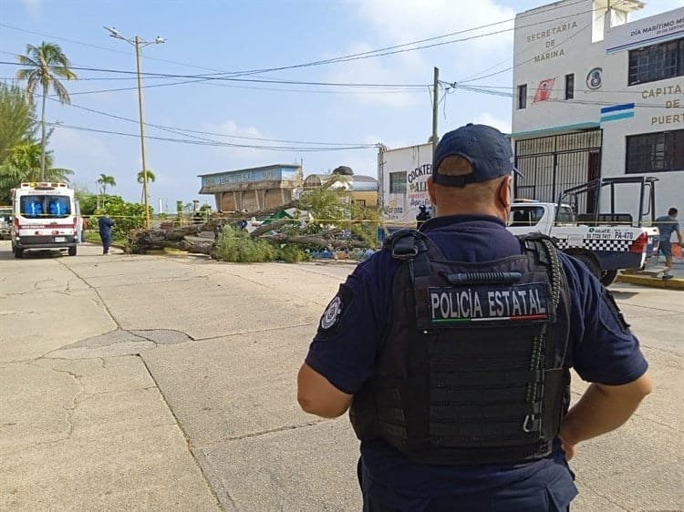 Repartidor de agua murió al ser aplastado por un árbol de pino en el viejo Malecón