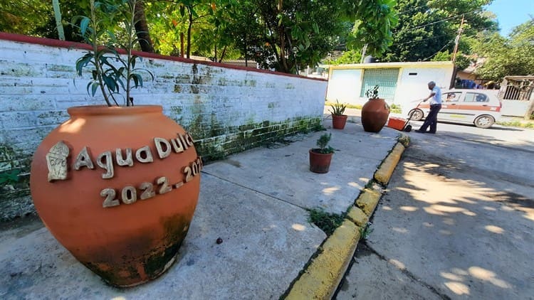 Cambian basureros clandestinos por jarrones florales en Agua Dulce