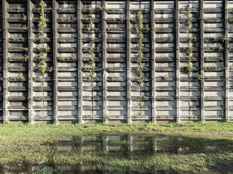 Veracruz, entre espacios abandonados y la naturaleza (+fotos)