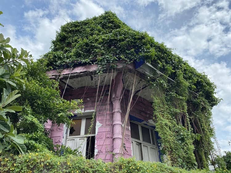 Veracruz, entre espacios abandonados y la naturaleza (+fotos)