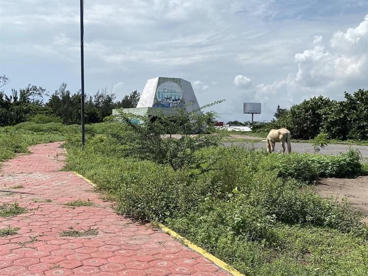 Veracruz, entre espacios abandonados y la naturaleza (+fotos)