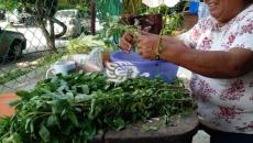 Regala tamales en honor a San Judas