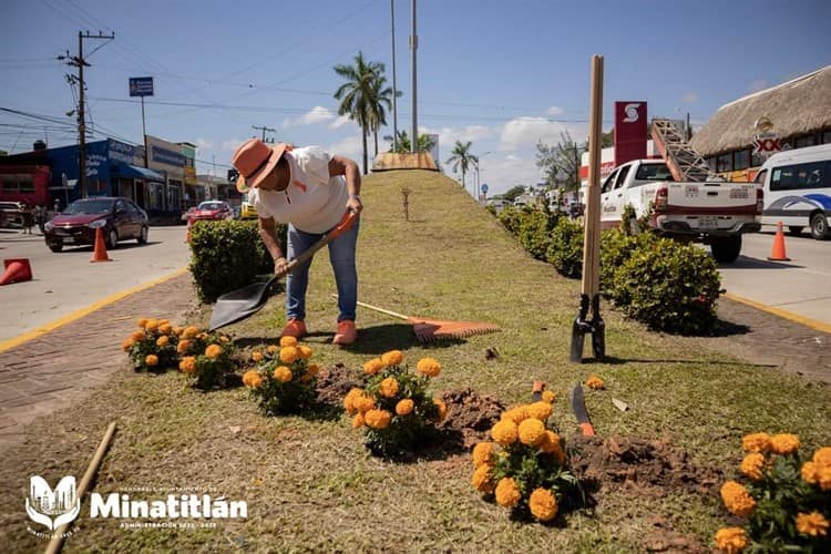 Adornan camellones de la Avenida Justo Sierra con flores de cempasúchil