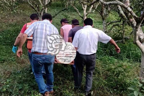 Gravemente herido, campesino mientras cosechaba pimienta en Misantla
