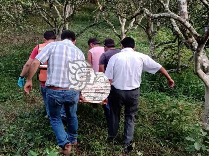 Gravemente herido, campesino mientras cosechaba pimienta en Misantla