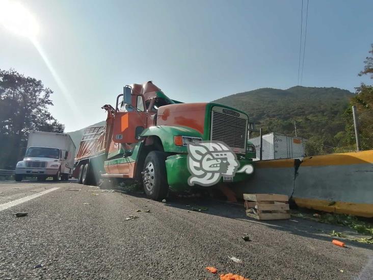 Vuelca camión con frutas y verduras en la Puebla-Orizaba; y sí, hubo rapiña (+Video)