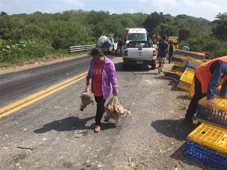 Vuelca tráiler que transportaba pollos y se arma la rapiña en Paso de Ovejas