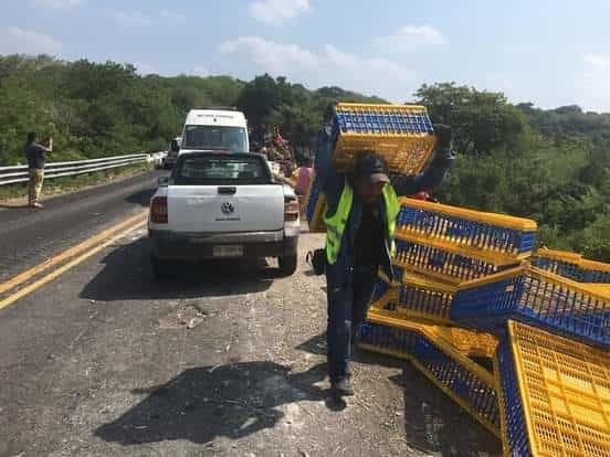 Vuelca tráiler que transportaba pollos y se arma la rapiña en Paso de Ovejas