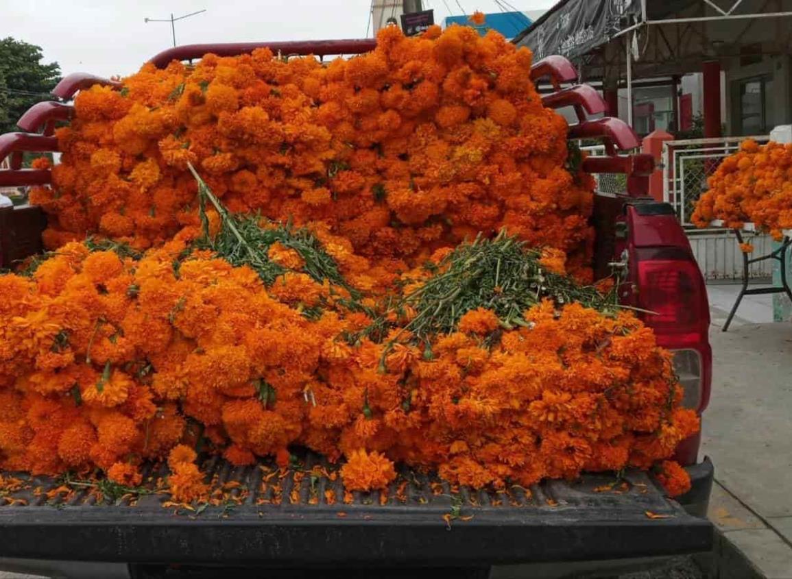 Vuelca camioneta con cempasúchil sobre carretera Veracruz-Xalapa