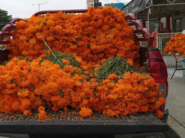 Vuelca camioneta con cempasúchil sobre carretera Veracruz-Xalapa