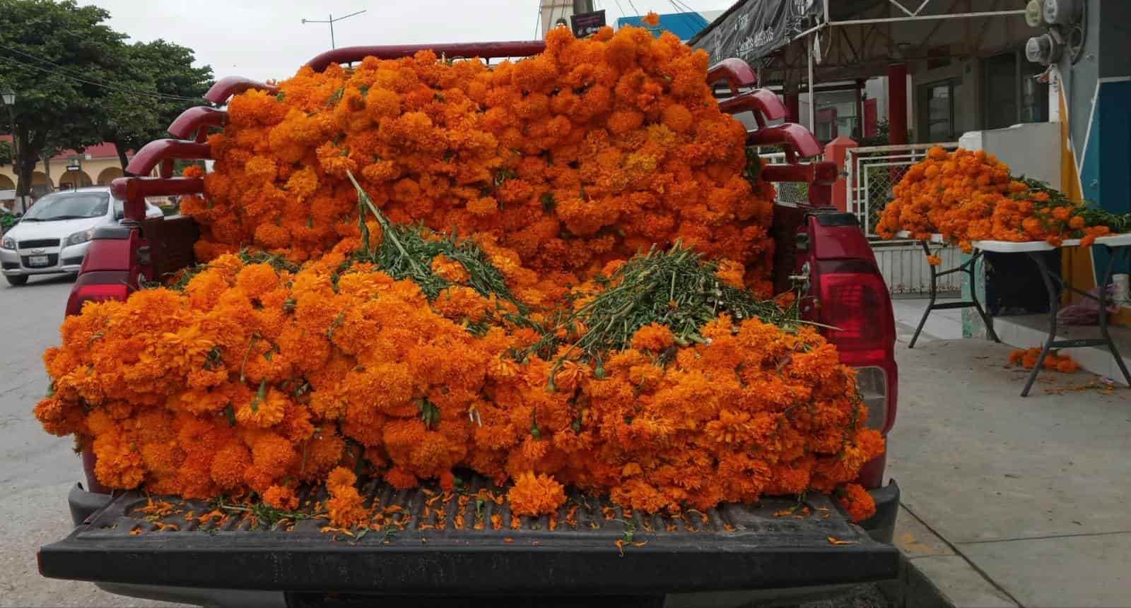 Vuelca camioneta con cempasúchil sobre carretera Veracruz-Xalapa