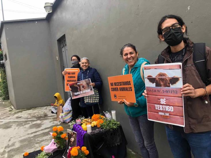 Con ofrenda, animalistas de Orizaba buscan concientizar sobre sacrificio de animales