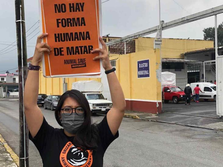 Con ofrenda, animalistas de Orizaba buscan concientizar sobre sacrificio de animales