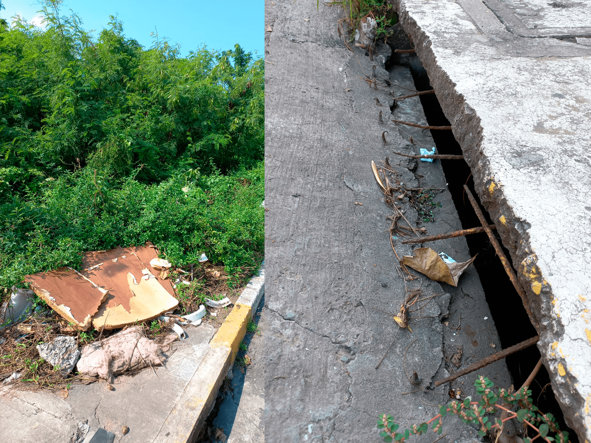 Piden mantenimiento en tragatormentas, luminarias y terrenos baldíos del Reforma, en Veracruz