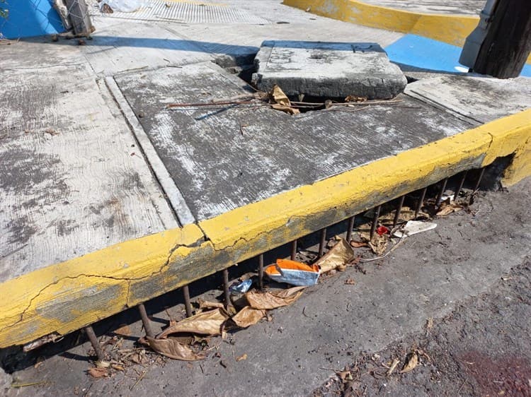 Piden mantenimiento en tragatormentas, luminarias y terrenos baldíos del Reforma, en Veracruz