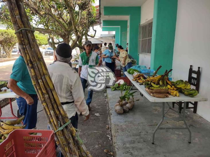 Beneficiarios de Sembrando Vida realizan mercado en Moloacán