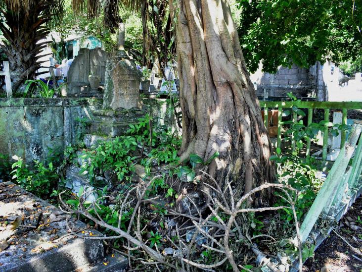 Con lágrimas y música salsa visitan la tumba de su padre en el Panteón Antiguo de Coatzacoalcos