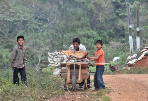 Jóvenes de zonas rurales del sur de Veracruz dejan estudios por irse de mojados