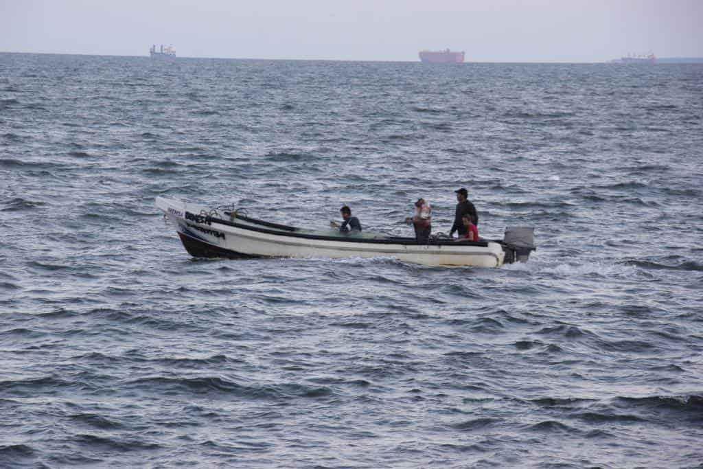 Evento de norte afectó captura de especies para pescadores de Veracruz