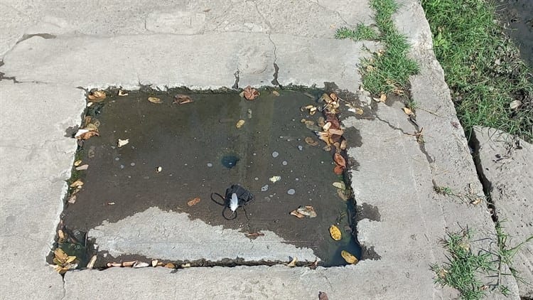 Registros incompletos, baches y aguas negras afectan a vecinos de colonia en Veracruz