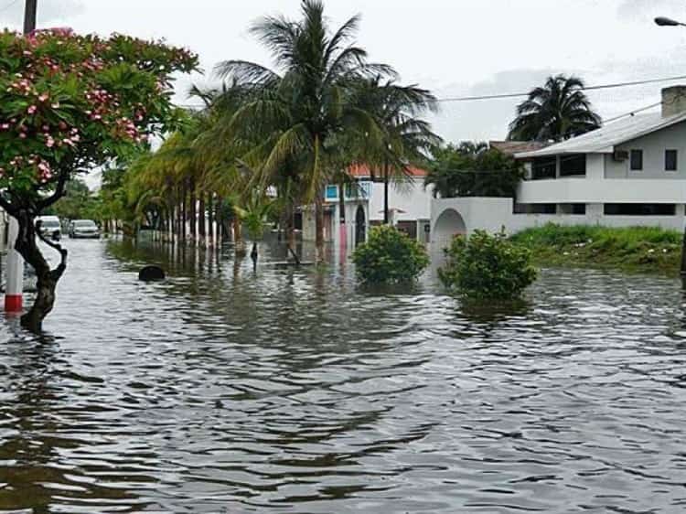 Aprendieron a monitorear los ríos para no inundarse en el fraccionamiento Floresta en Veracruz