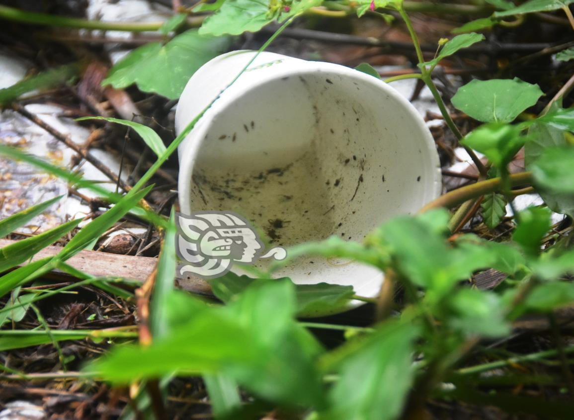 Veracruz superó los casos de dengue del año pasado: repuntó 13.6%