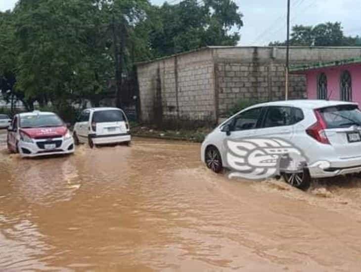 Veracruz, con tres declaratorias de desastre; hay recursos para la atención: PC (+Video)