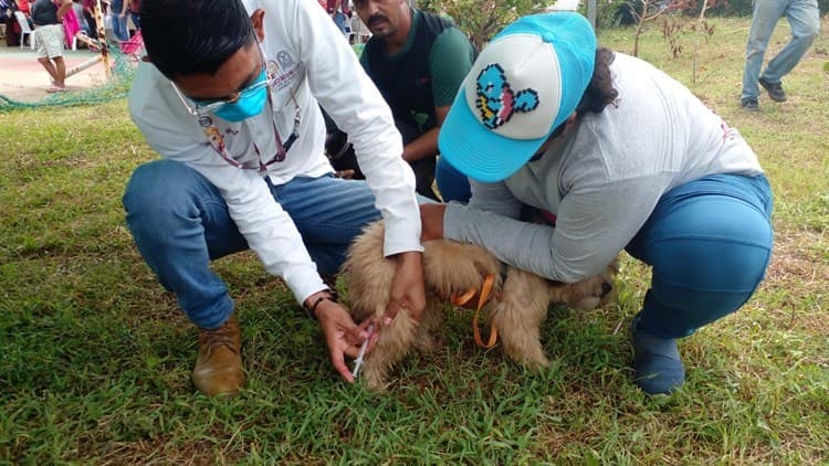 Llega brigada de servicios municipales a Manantiales(+Video)