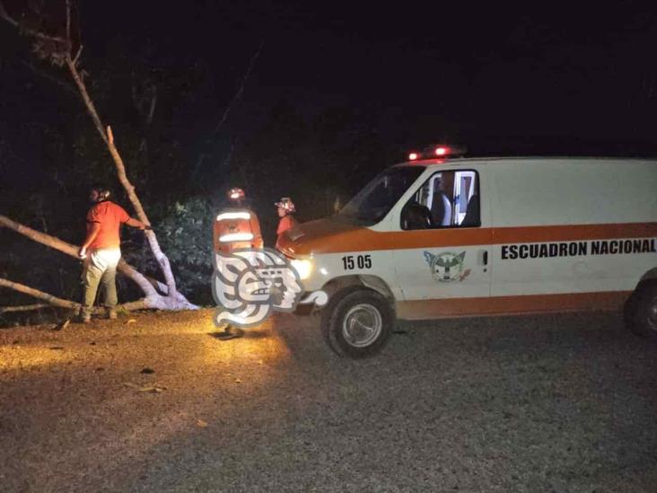 Automóvil se sale del camino en localidad Los Ídolos, en Misantla