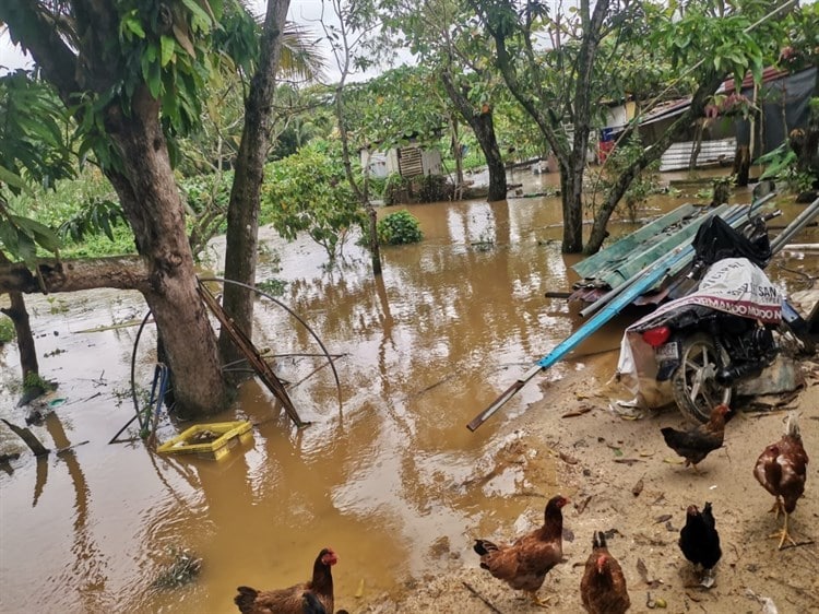 Familias de la Ampliación Reforma de Mundo Nuevo amanecieron entre el agua(+Video)